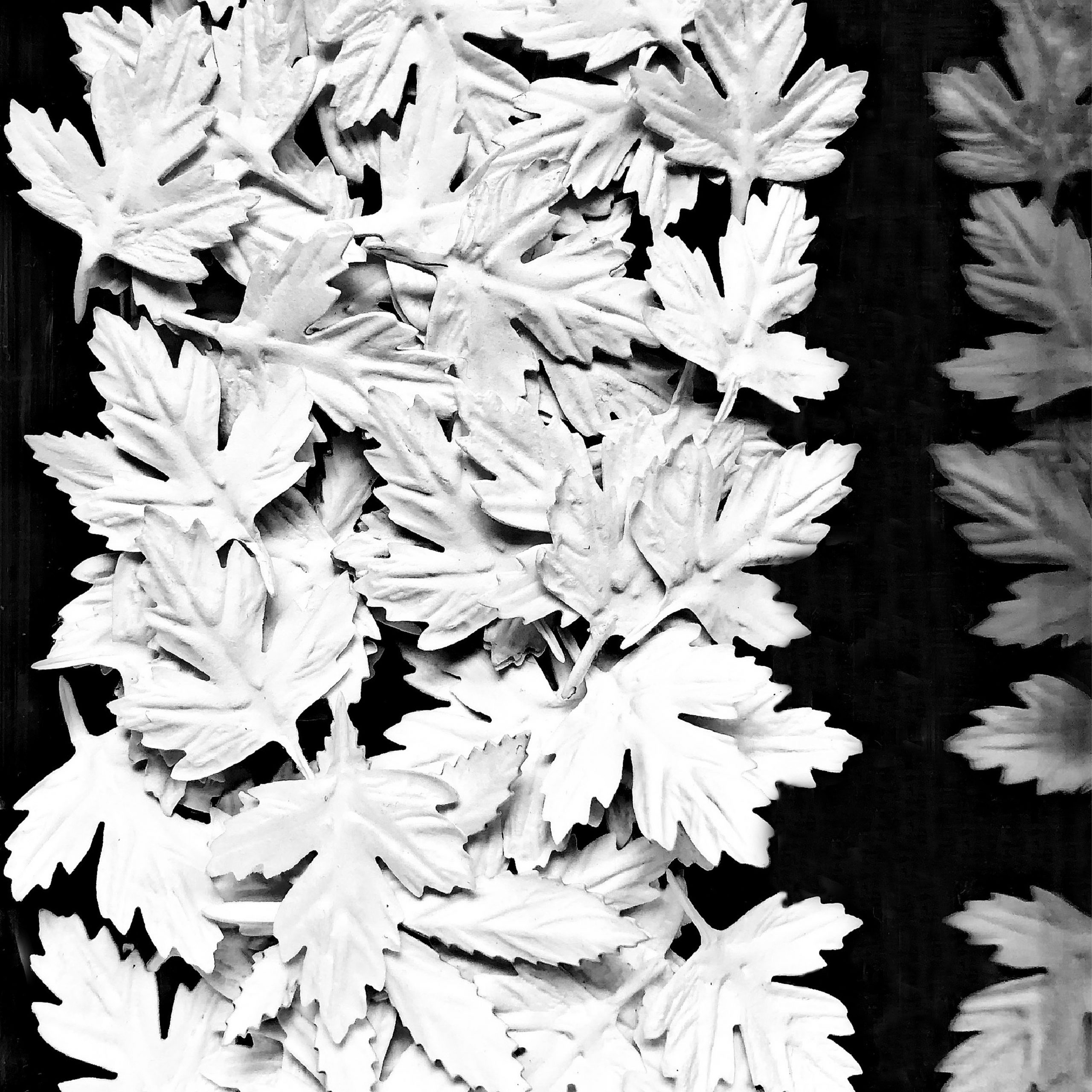 Zeichenfläche 8